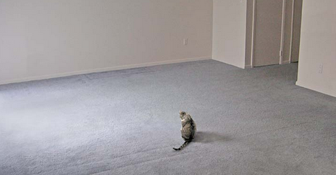invisible everything